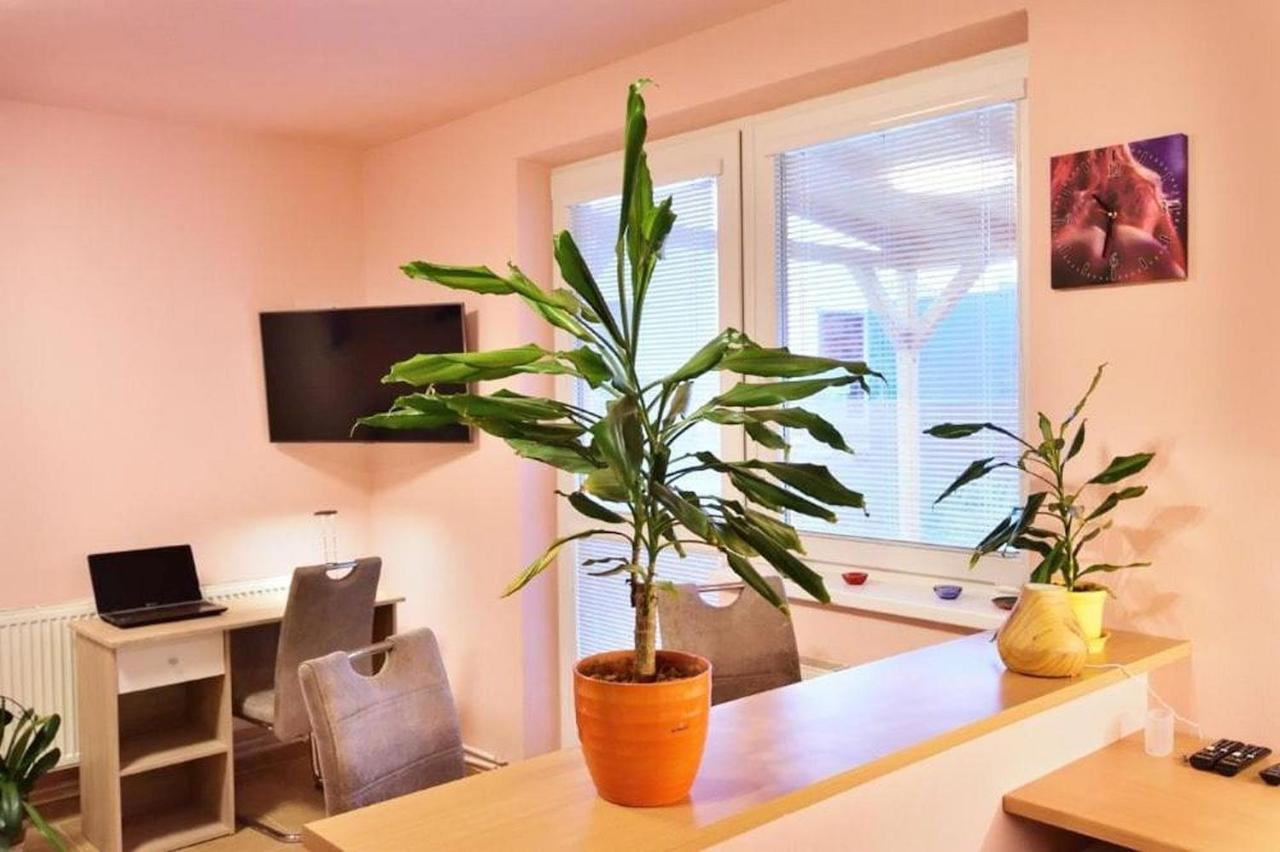 Nika Beds Hotel Пардубице Екстериор снимка